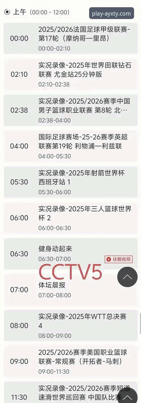 资深分析师复盘：从上海12连胜看爱游戏体育平台的数据洞察价值